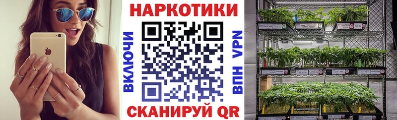 Купить наркотики цена Куровское A PVP Метадон Канабис Меф АМФ
