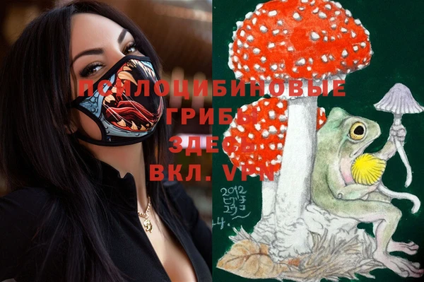 молекула духа Баксан