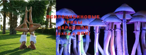 твердый Белокуриха