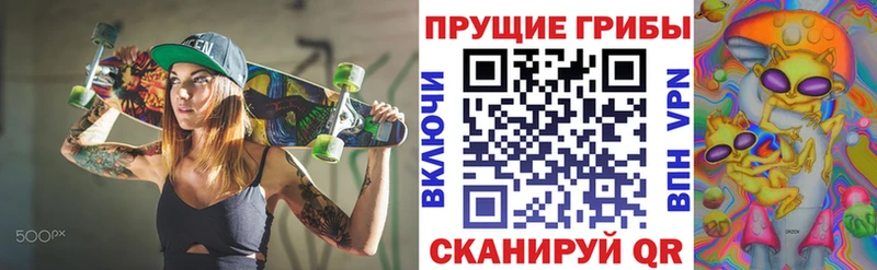 где купить наркоту  Куровское  Галлюциногенные грибы MAGIC MUSHROOMS 